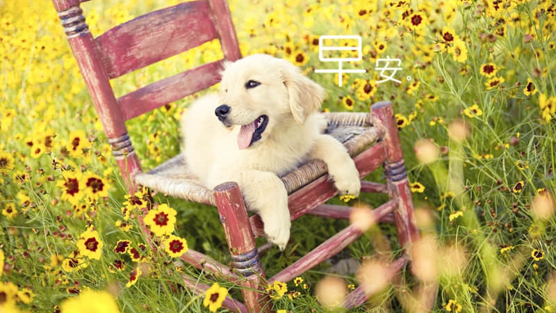 情侣吵架的句子 想挽回 我愿以朋友之名深爱占有不放手